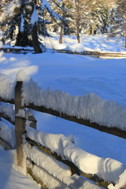 Berggasthof Pension Pfitscher Unsere Liebe Frau im Walde Exteriör bild
