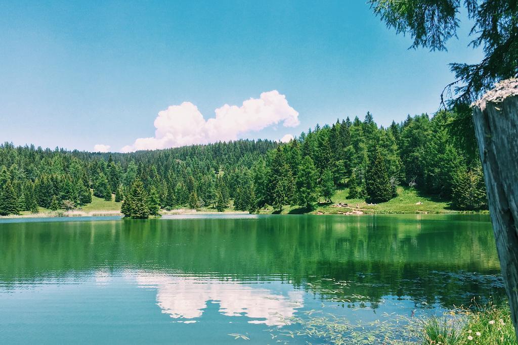 Berggasthof Pension Pfitscher Unsere Liebe Frau im Walde Exteriör bild