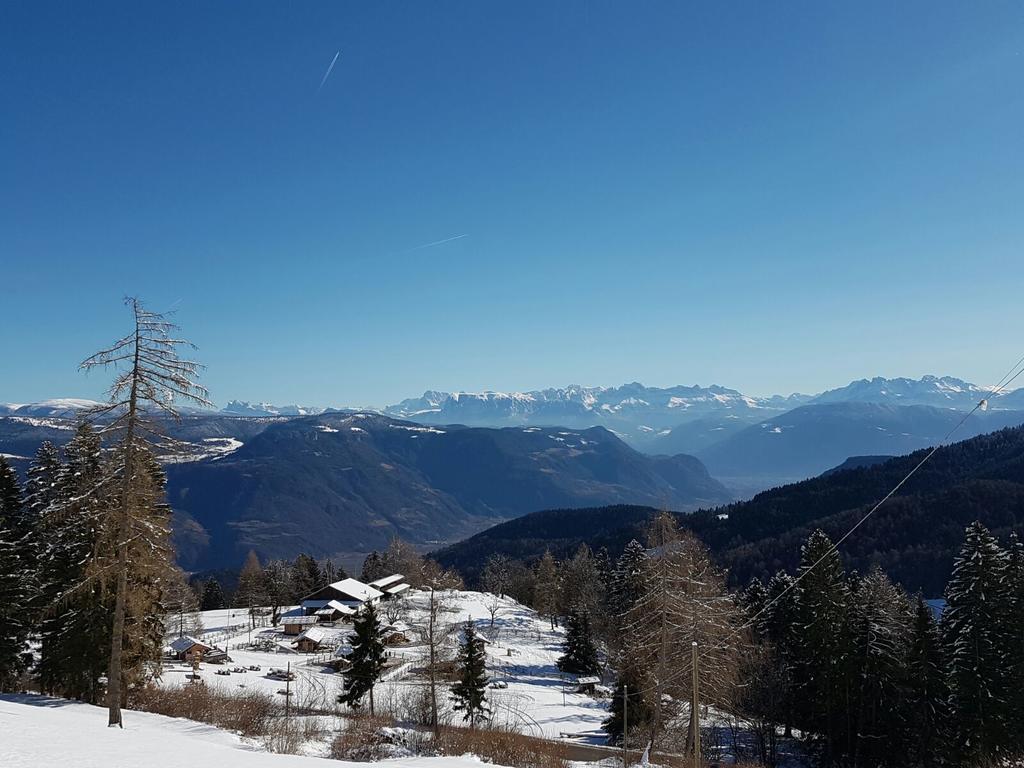 Berggasthof Pension Pfitscher Unsere Liebe Frau im Walde Exteriör bild